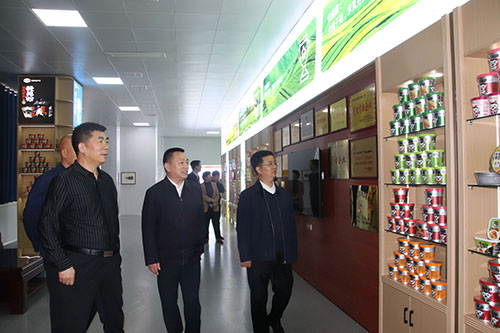 國(guó)家、省、市鄉(xiāng)村振興局等**一行蒞臨麗星公司進(jìn)行調(diào)研工作